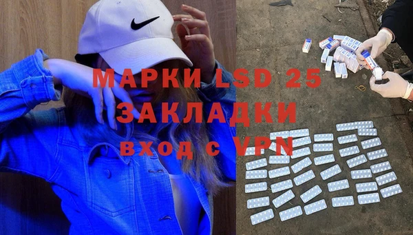 ПСИЛОЦИБИНОВЫЕ ГРИБЫ Арсеньев