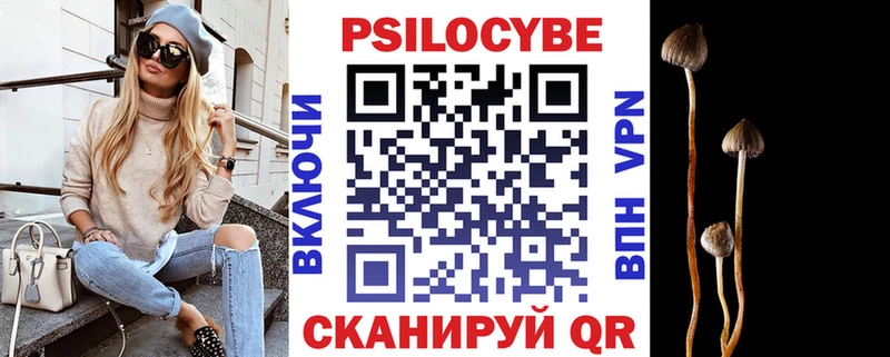 ссылка на мегу вход  Тогучин  Псилоцибиновые грибы мухоморы 